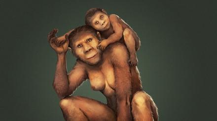 Die Kinder von Australopithecus africanus wurden nach ihrer Geburt etwa 12 Monate gestillt - bei mangelndem Nahrungsangebot auch länger.