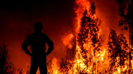 Besorgniserregend ist die Lage in Vila de Rei.