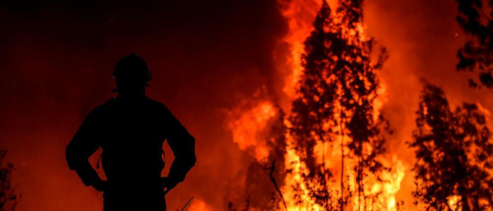 Besorgniserregend ist die Lage in Vila de Rei.