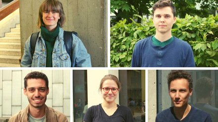 Die befragten Studierenden