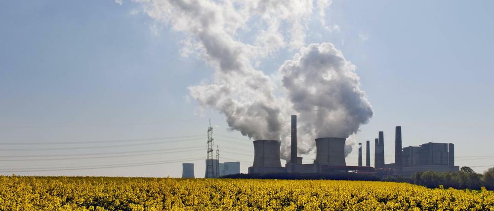 Strom aus Braunkohle würde durch eine CO2-Bepreisung deutlich teurer.
