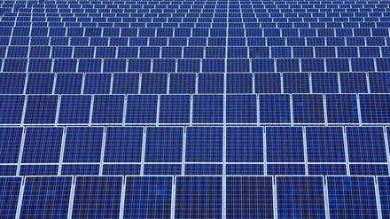 Im Juni haben die Berliner Stadtwerke mit Tempelhof-Schöneberg einen Vertrag zur Installation von Solarpaneelen abgeschlossen.