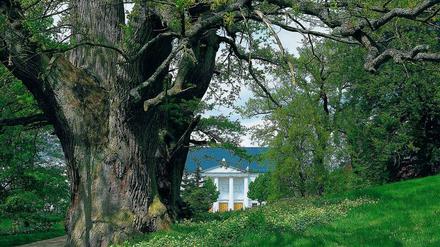 Malerischer Blick vom Schlossgarten in den Ort Putbus. 