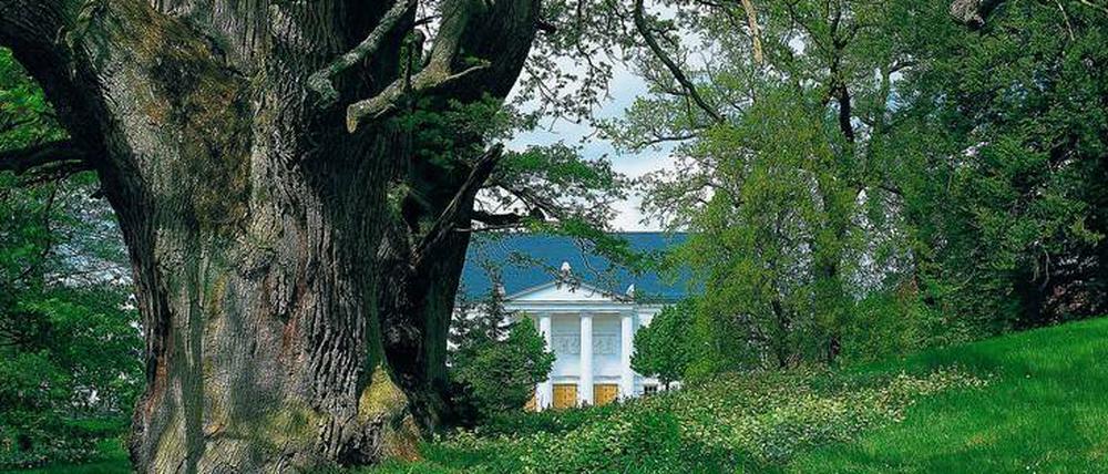Malerischer Blick vom Schlossgarten in den Ort Putbus.