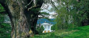 Malerischer Blick vom Schlossgarten in den Ort Putbus. 