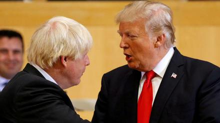 Der Präsident der USA Donald Trump und der damalige britische Außenminister Boris Johnson bei einem Treffen 2017. 