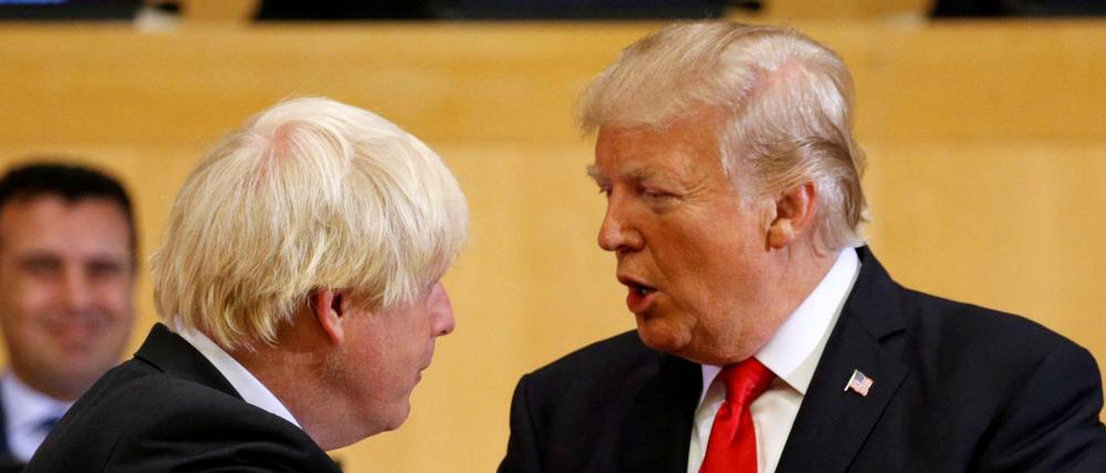 Der Präsident der USA Donald Trump und der damalige britische Außenminister Boris Johnson bei einem Treffen 2017.