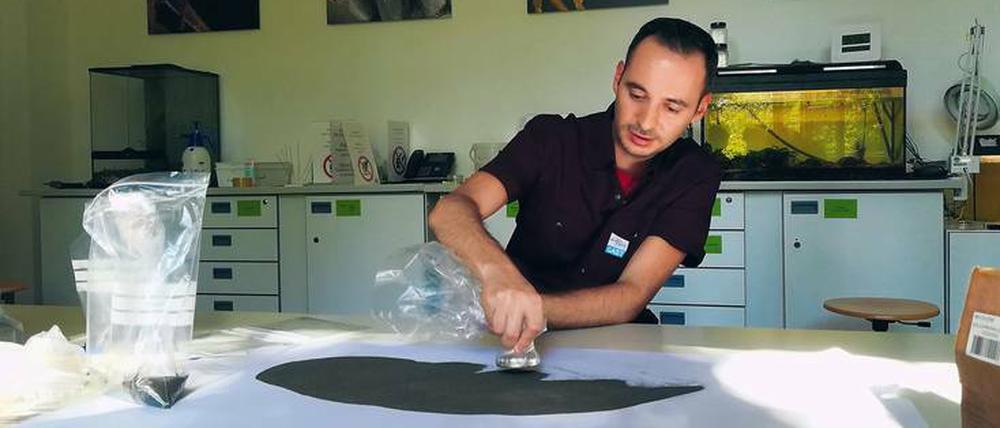 Mit einem Magneten trennt FU-Student Kabulhan Cimen den Dächerstaub von Fremdmaterial, um ihn anschließend zu mikroskopieren.