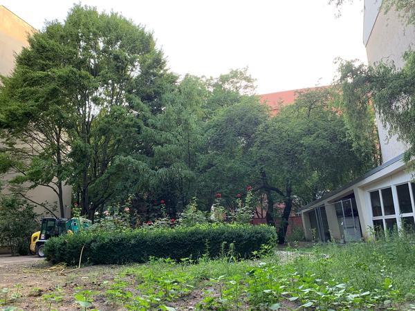 Blick auf den Garten. Die Caritas lobt das "bauliche Entwicklungspotenzial".