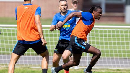 Vedad Ibisevic und Dedryck Boyata (r.) kämpfen um den Ball.