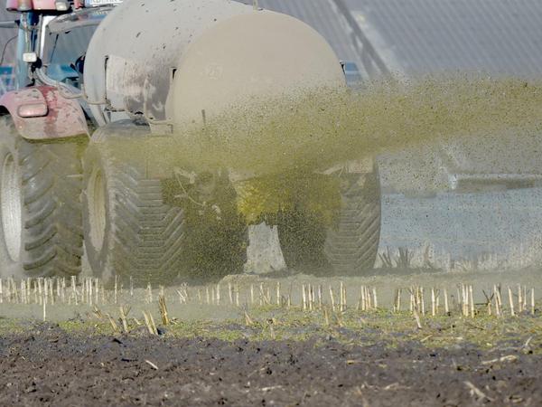 Gut für die Ernte, schlecht fürs Grundwasser: Ein Traktor versprüht die Gülle aus seinem Anhänger.