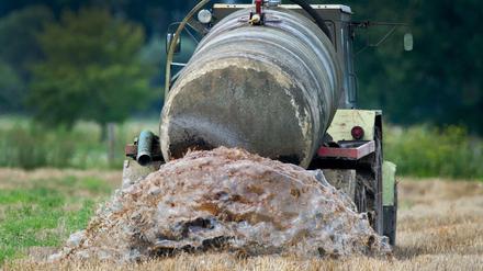 Großer Mist: Deutschland schützt sein Grundwasser zu wenig vor der Belastung mit Nitrat, sagt Brüssel. 