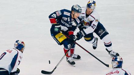 Charlie Jahnke (Bildmitte, in Blau) spielte 55 Mal für die Eisbären in der Deutschen Eishockey-Liga und traf dabei genau einmal. Diese Bilanz will er in Düsseldorf aufbessern.