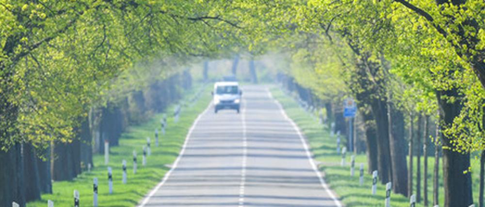 Auf dem Land ist das Auto weiterhin das wichtigste Verkehrsmittel.