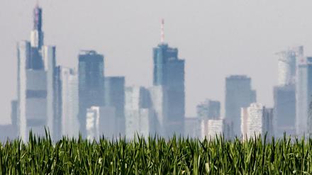 Großstädte spielen im Klimawandel eine Schlüsselrolle: Sie sind Hauptverursacher und Hauptbetroffene zugleich. 