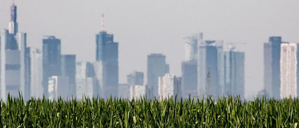 Großstädte spielen im Klimawandel eine Schlüsselrolle: Sie sind Hauptverursacher und Hauptbetroffene zugleich. 