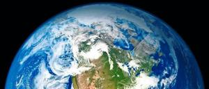 Weltweite Symbiose. Sind alle Organismen auf der Erde voneinander abhängig und bilden – in einer Art „Symbiose aus dem Weltraum betrachtet“ – einen größeren, den ganzen Planeten umfassenden Organismus? Davon geht Lovelocks „Gaia“-Hypothese aus.