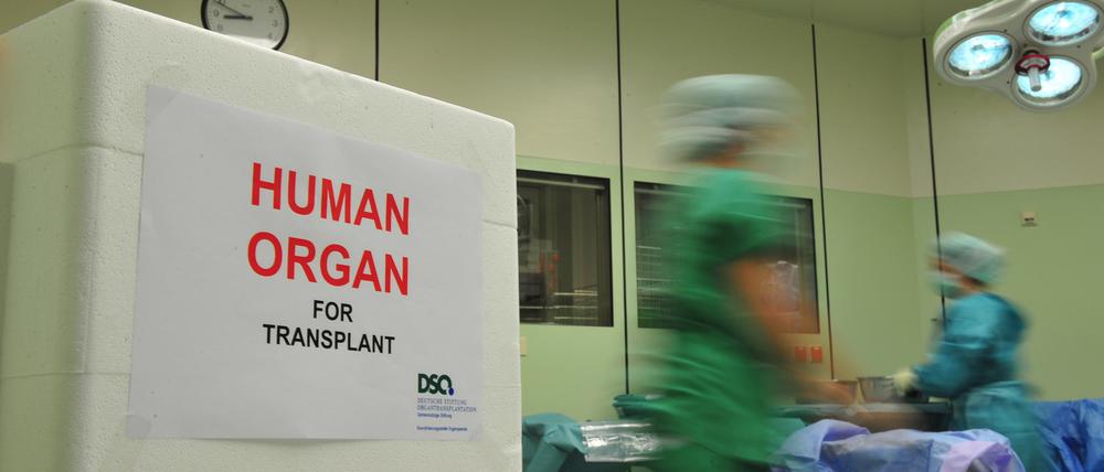 Menschliche Organe für die Transplantation stammen bislang fast nur aus menschlichen Spendern.