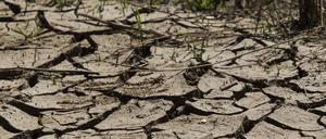 Trockener Flussbett in Kalifornien. Der goldene Staat kämpft seit Langem mit Wasserknappheit.