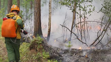 Das Videostandbild zeigt einen Mitarbeiter des russischen Luftwaldschutzes (Avialesookhrana) während der Bekämpfung eines Waldbrandes in Krasnojarsk. 
