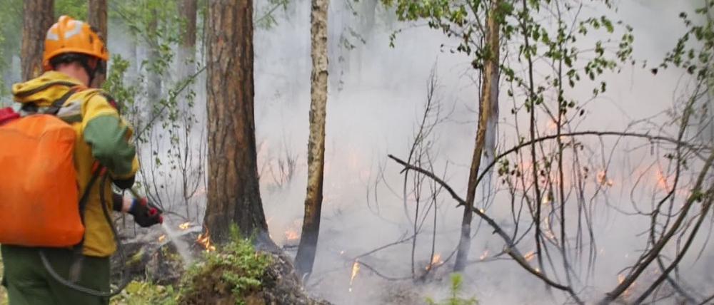 Das Videostandbild zeigt einen Mitarbeiter des russischen Luftwaldschutzes (Avialesookhrana) während der Bekämpfung eines Waldbrandes in Krasnojarsk.