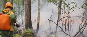 Das Videostandbild zeigt einen Mitarbeiter des russischen Luftwaldschutzes (Avialesookhrana) während der Bekämpfung eines Waldbrandes in Krasnojarsk.