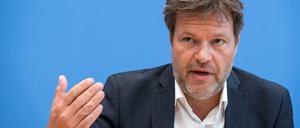 Robert Habeck, Bundesvorsitzender Bündnis 90/Die Grünen (Archiv)