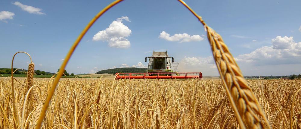 Es wird immer mehr Fläche für Ernährung und Kleidung verbraucht.