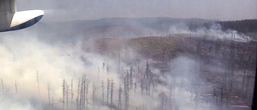 Tausende Quadratkilometer Wald stehen allein im Krasnojarsker Gebiet in Flammen.
