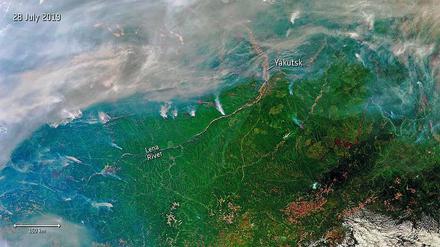 Taigafeuer. Brände in Sibirien, Aufnahme des Copernicus Sentinel-3-Satelliten.