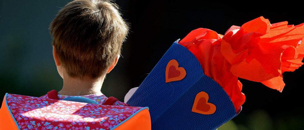Die Kinder, die jetzt eingeschult werden, werden im Jahr 2031 Abitur machen. Was erwartet sie dann?