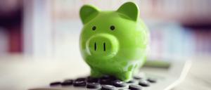 Sparschwein statt Aktien?