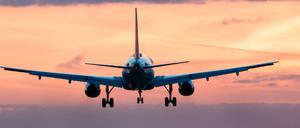 Ein Flugzeug landet am Albrecht-Dürer-Airport Nürnberg (Symbolbild).