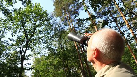 Elmar Kilz blickt auf die Krone. Der ist wichtig, um festzustellen, wie es um die Bäume und den Wald bestellt ist. 