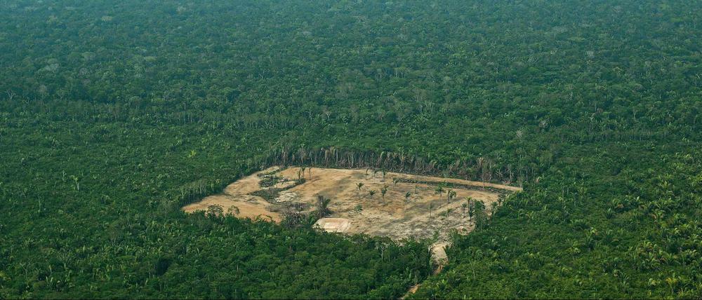 Ein Luftbild dokumentiert Abholzungen im Regenwald in Brasilien.