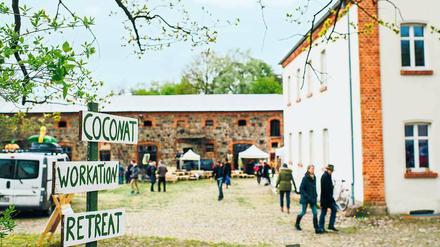 Digitalnomaden suchen nach Alternativen. In einen alten Gutshof in Bad Belzig ist der Coworking Space „Coconat“ eingezogen. 
