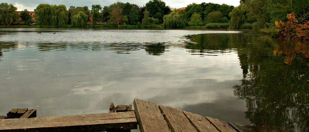 Kaputter Steg am Schäfersee in Berlin-Reinickendorf.