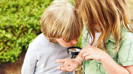 Diesen Sommer werden Kinder zu Forscher:innen - und zocken Fifa!