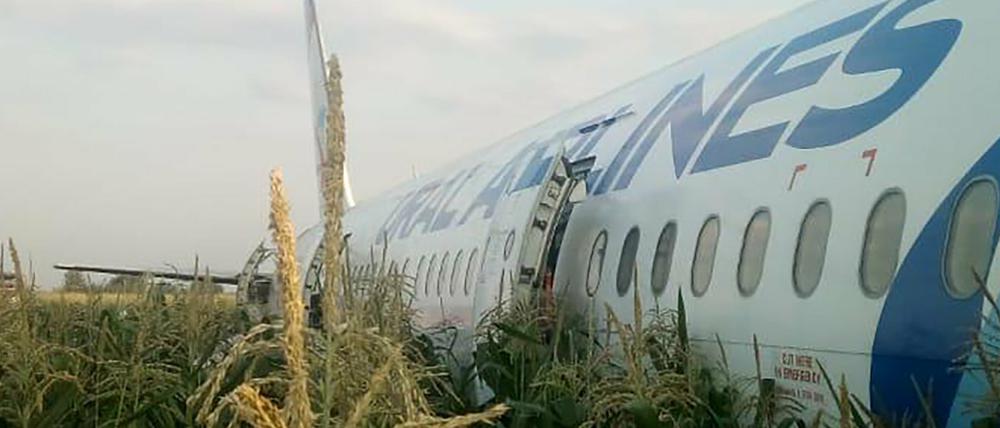 Ein Airbus A321 auf einem Maisfeld in der Nähe des Flughafens Schukowski im Gebiet Moskau.