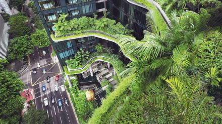 Grüne Oase. Das Hotel Parkroyal on Pickering in Singapore (aus dem Buch „Hortitecture“).