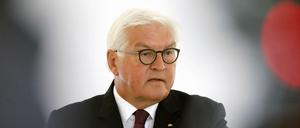 Bundespräsident Frank-Walter Steinmeier. 