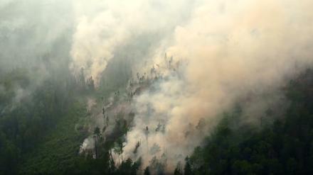 Ein Waldbrand in der Region Krasnojarsk in Sibirien.