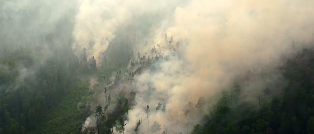 Ein Waldbrand in der Region Krasnojarsk in Sibirien.