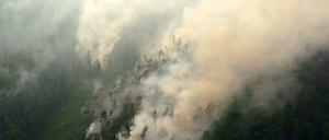 Ein Waldbrand in der Region Krasnojarsk in Sibirien.