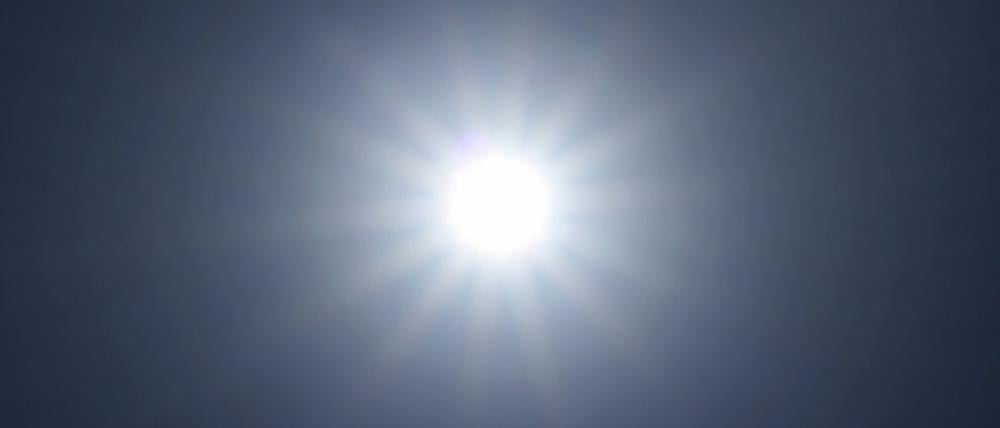 Strahlend schön: Sommer, Sonne, See - und vielleicht auch ein Café mit Steg?