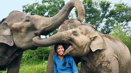 Die thailändische Elefantenretterin Lek Chailert nimmt in ihrem Elefantenpark in Chiang Mai zuvor im Tourismus missbrauchte Tiere auf.