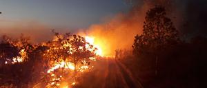 Waldbrand im Naturpark Chapada dos Guimaraes, Brasilien.