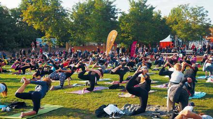 Immer mit der Ruhe. Beim Parkfest gibt es Musik, Lesungen – und Sport.