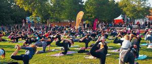 Immer mit der Ruhe. Beim Parkfest gibt es Musik, Lesungen – und Sport.