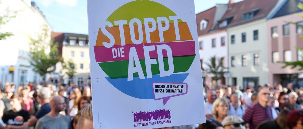 Demonstranten protestieren gegen eine Wahlkampfveranstaltung der AfD in Döbeln.